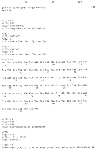 Гены corynebacterium glutamicum, кодирующие белки резистентности и толерантности к стрессам (патент 2303635)