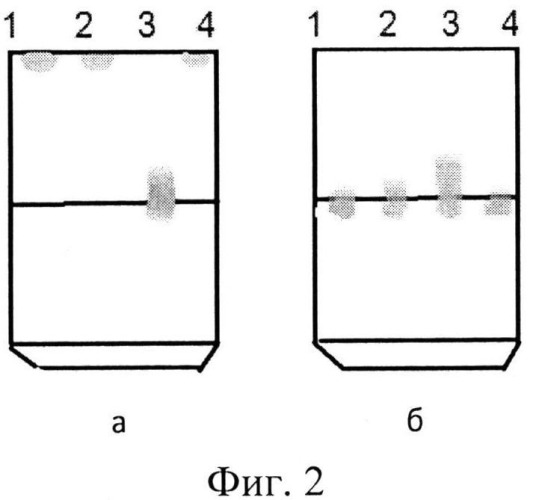 Способ определения дитиофосфатов цинка в моторных маслах (патент 2546534)