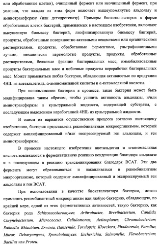 Способ производства 4-гидрокси-l-изолейцина или его соли (патент 2355767)