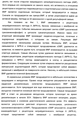 Натрийуретические соединения, конъюгаты и их применение (патент 2388765)