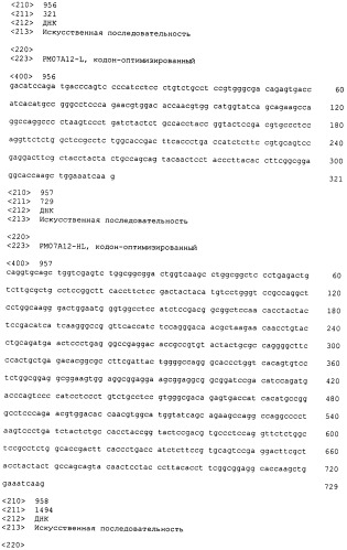 Psma×cd3 биспецифическое одноцепочечное антитело с межвидовой специфичностью (патент 2559531)