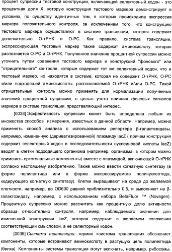 Генетически кодируемые флюоресцентные кумариновые аминокислоты (патент 2473690)