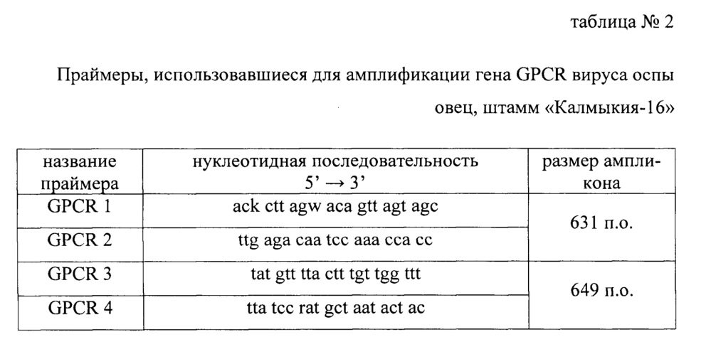 Штамм "калмыкия-16" вируса оспы овец для вирусологических, молекулярно-генетических, мониторинговых исследований, изготовления вакцин и диагностических препаратов (патент 2647768)