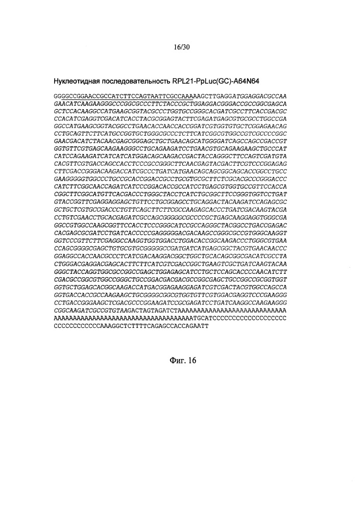 Молекулы искусственной нуклеиновой кислоты, содержащие 5'utr гена top (патент 2660565)