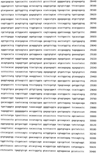 Бактериофаг, обладающий активностью против pseudomonas aeruginosa, белки бактериофага и способы их применения (патент 2580248)