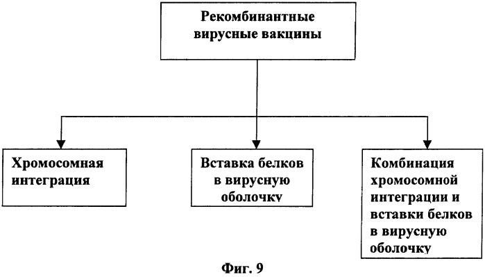 Иммуногенная композиция и способ разработки вакцины, основанной на участках связывания фактора н (патент 2364413)