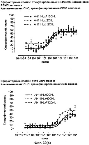 Pscaxcd3, cd19xcd3, c-metxcd3, эндосиалинxcd3, epcamxcd3, igf-1rxcd3 или fap-альфаxcd3 биспецифическое одноцепочечное антитело с межвидовой специфичностью (патент 2547600)