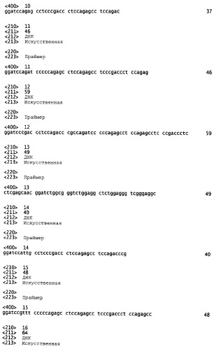 Модифицированный коагулирующий фактор viia с продленным временем полужизни (патент 2466141)