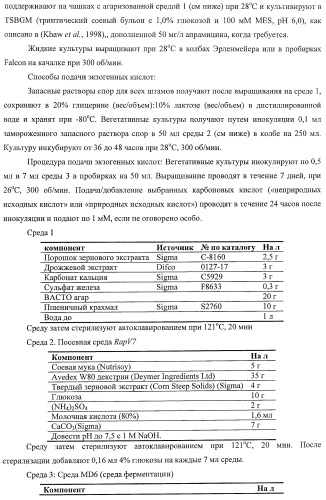 Получение поликетидов и других природных продуктов (патент 2430922)