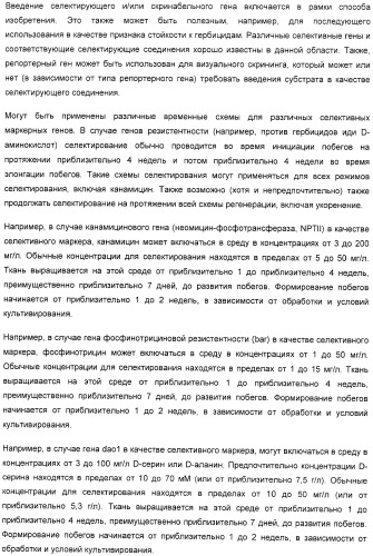 Улучшенная трансформация сои (патент 2389797)