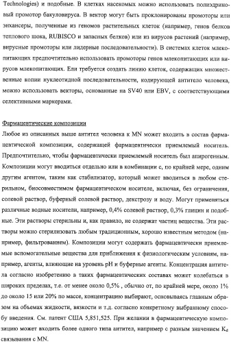 Антитела человека, обладающие активностью связывания c mn и нейтрализации клеточной адгезии (патент 2317998)