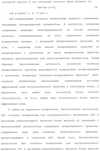 Антитела, сконструированные на основе цистеинов, и их конъюгаты (патент 2412947)