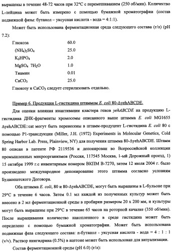 Способ получения l-треонина и l-аргинина с использованием бактерии, принадлежащей к роду escherichia, в которой инактивирован кластер генов yehabcde (патент 2337960)