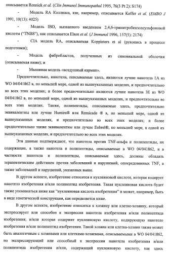 Улучшенные нанотела против фактора некроза опухоли-альфа (патент 2464276)