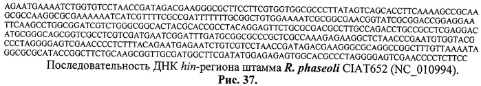 Способ идентификации и дифференциации прокариотических организмов (патент 2486251)
