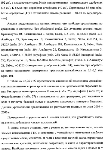 Способ возделывания яровой пшеницы предпочтительно в зоне светло-каштановых почв нижнего поволжья (варианты) (патент 2348137)