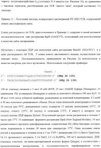 Экспонирование т-клеточных рецепторов (патент 2346004)
