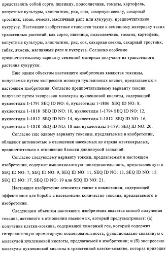 Модифицированные токсины cry3a и кодирующие их нуклеотидные последовательности (патент 2314345)