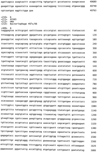 Бактериофаг, обладающий активностью против pseudomonas aeruginosa, белки бактериофага и способы их применения (патент 2580248)