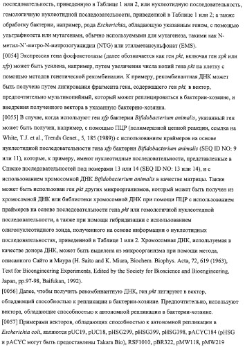 Использование фосфокетолазы для продукции полезных метаболитов (патент 2322496)