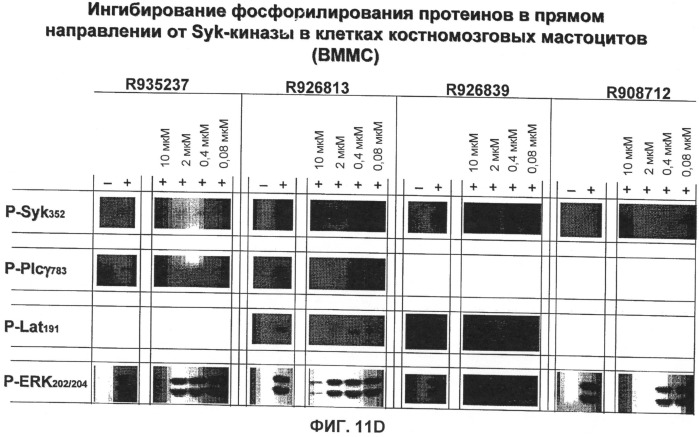 Соединения 2,4-пиримидиндиаминов и их применение (патент 2493150)