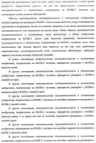 Аминокислотные последовательности, направленные на rank-l, и полипептиды, включающие их, для лечения заболеваний и нарушений костей (патент 2481355)