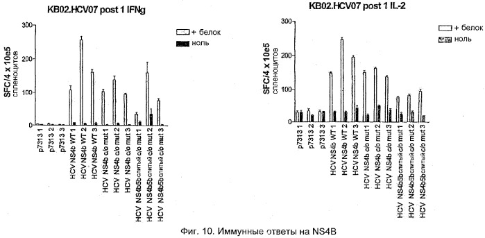 Вакцина против hcv (патент 2323744)