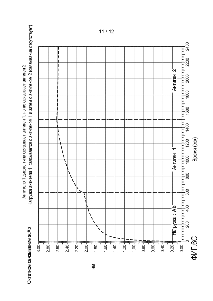 Одноцепочечные антитела и другие гетеромультимеры (патент 2644341)