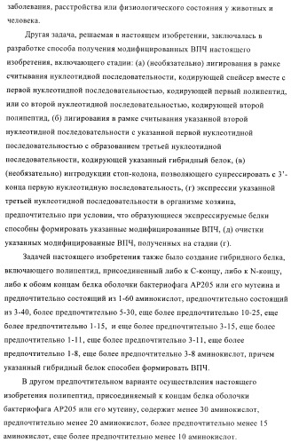 Вирусоподобные частицы, включающие гибридный белок белка оболочки бактериофага ар205 и антигенного полипептида (патент 2409667)