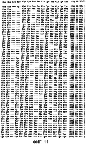 Полипептид для увеличения активности рецептора гуанилатциклазы, фармацевтическая композиция, способ лечения желудочно-кишечного расстройства у пациента, способ повышения активности рецептора гуанилатциклазы у пациента, способ лечения висцеральной боли, способ получения полипептида (варианты), изолированная молекула нуклеиновой кислоты, бактериальный вектор экспрессии и изолированная бактериальная клетка (патент 2433133)