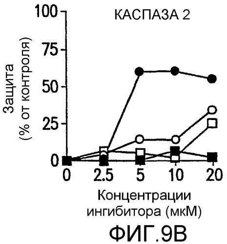 Комбинации антител, обладающих селективностью по отношению к рецептору лиганда, индуцирующему апоптоз, ассоциированный с фактором некроза опухоли, и других терапевтических средств (патент 2313368)