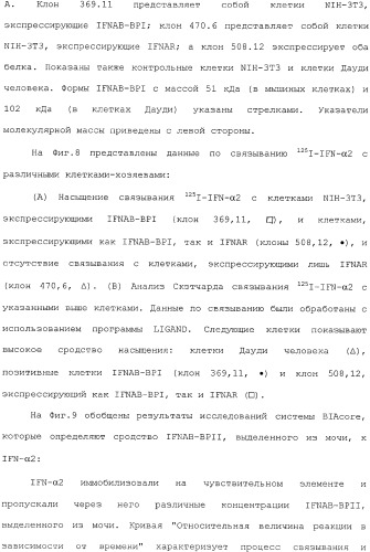 Белок ifnab-bpi, его предшественник, молекула днк, экспрессирующий вектор, способ продуцирования, фармацевтическая композиция для ингибирования активности ifn-  или ifn-  (патент 2336279)