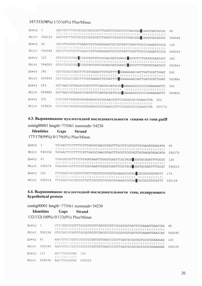 Штаммы bifidobacterium adolescentis 150 и bifidobacterium angulatum gt 102, синтезирующие гамма-аминомасляную кислоту (патент 2614110)