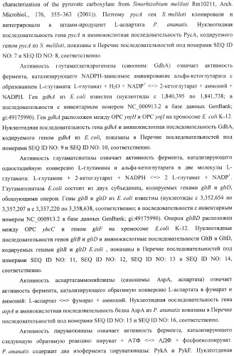 Бактерия, принадлежащая к роду pantoea, - продуцент l-аспартата или метаболита, являющегося производным l-аспартата, и способ получения l-аспартата или метаболита, являющегося производным l-аспартата (патент 2411289)