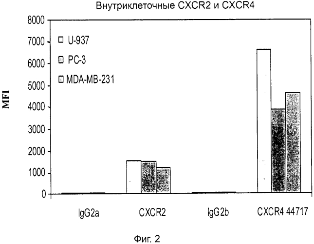 Антитела к cxcr4 и их применение для лечения рака (патент 2573897)