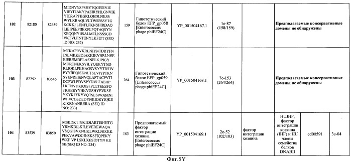 Бактериофаг, обладающий активностью против pseudomonas aeruginosa, белки бактериофага и способы их применения (патент 2580248)
