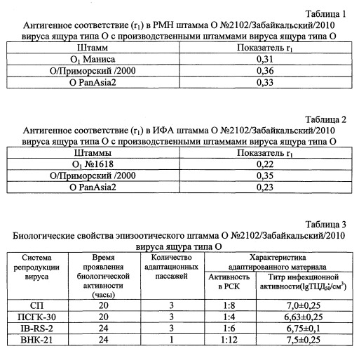 Штамм о №2102/забайкальский/2010 вируса ящура aphtae epizooticae типа о для контроля антигенной и иммуногенной активности противоящурных вакцин и для изготовления биопрепаратов для диагностики и специфической профилактики ящура типа о (патент 2563522)