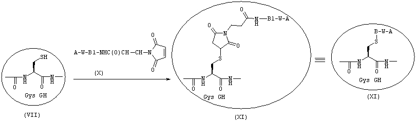 Гормоны роста с пролонгированной эффективностью in vivo (патент 2605627)