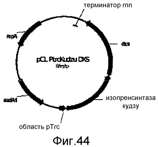 Полимеры изопрена из возобновляемых источников (патент 2505605)