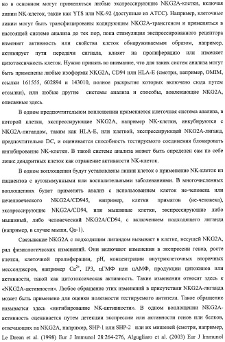 Моноклональные антитела против nkg2a (патент 2481356)