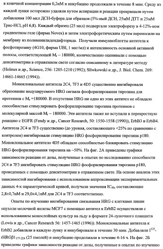 Способ лечения рака у человека (варианты), применяемая в способе форма (варианты) и применение антитела (варианты) (патент 2430739)