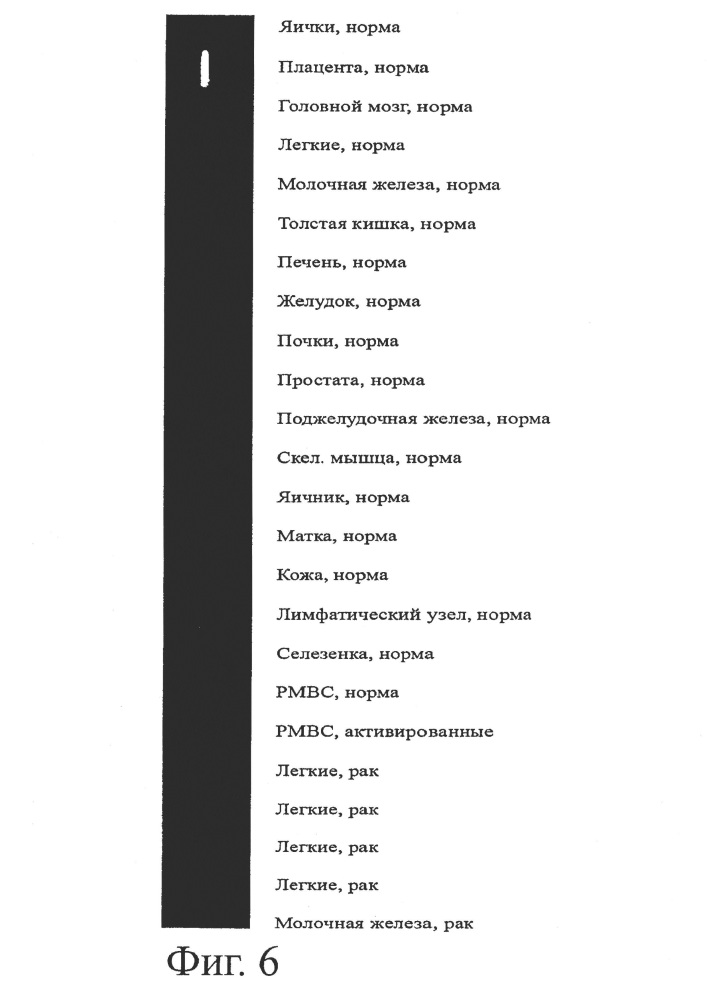 Идентификация опухолеассоциированных антигенов для диагностики и терапии (патент 2644686)