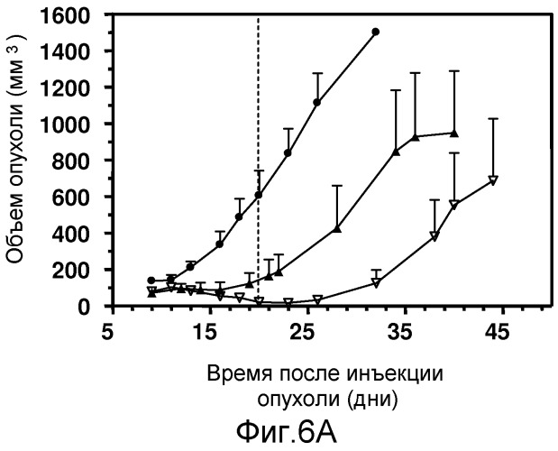Конъюгаты, содержащие гидрофильные спейсеры линкеров (патент 2523909)