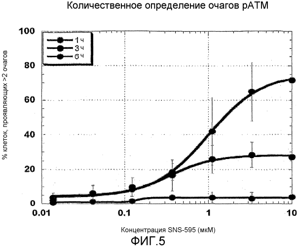 Способы применения (+)-1,4-дигидро-7-[(3s, 4s)-3-метокси-4-(метиламино)-1-пирролидинил]-4-оксо-1-(2-тиазолил)-1,8-нафтиридин-3-карбоновой кислоты для лечения рака (патент 2592231)