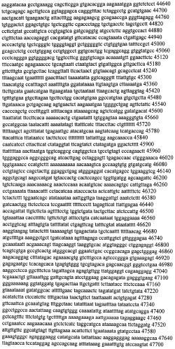 Модуляция экспрессии гентингтина (патент 2562861)