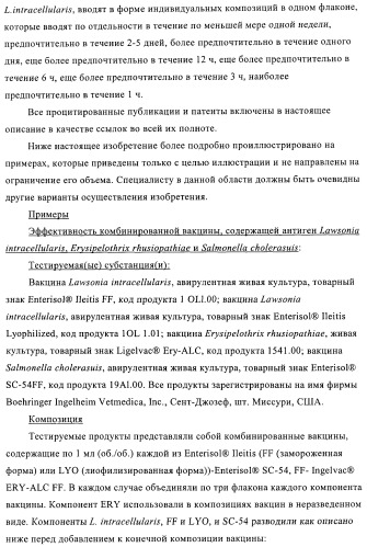 Иммуногенные композиции, содержащие lawsonia intracellularis (патент 2443430)