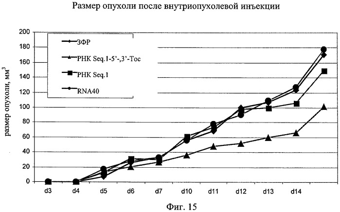 Нуклеиновая кислота формулы (i): glxmgn или (ii): glxmgn, предназначенная для применения прежде всего в качестве иммуностимулятора/адъюванта (патент 2487938)