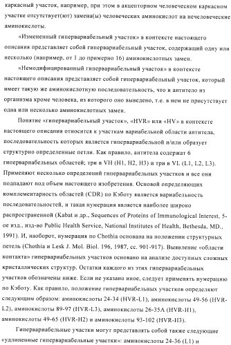 Композиции и способы диагностики и лечения опухоли (патент 2423382)