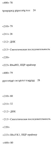 Модифицированное агонистическое антитело (патент 2295537)