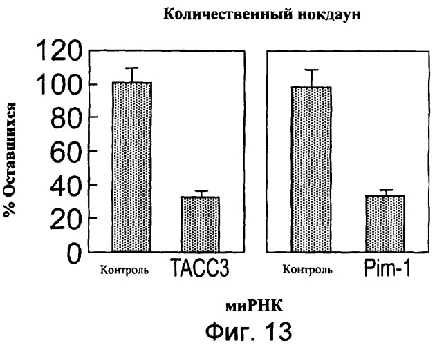 Способ измерения резистентности или чувствительности к доцетакселу (патент 2403574)